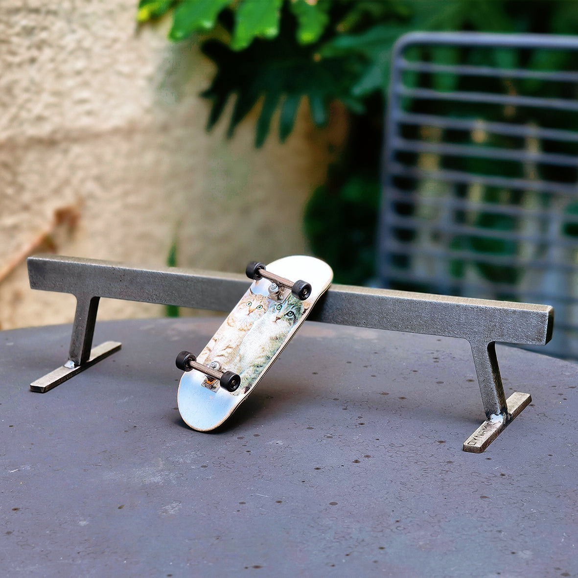 Dynamic Rail