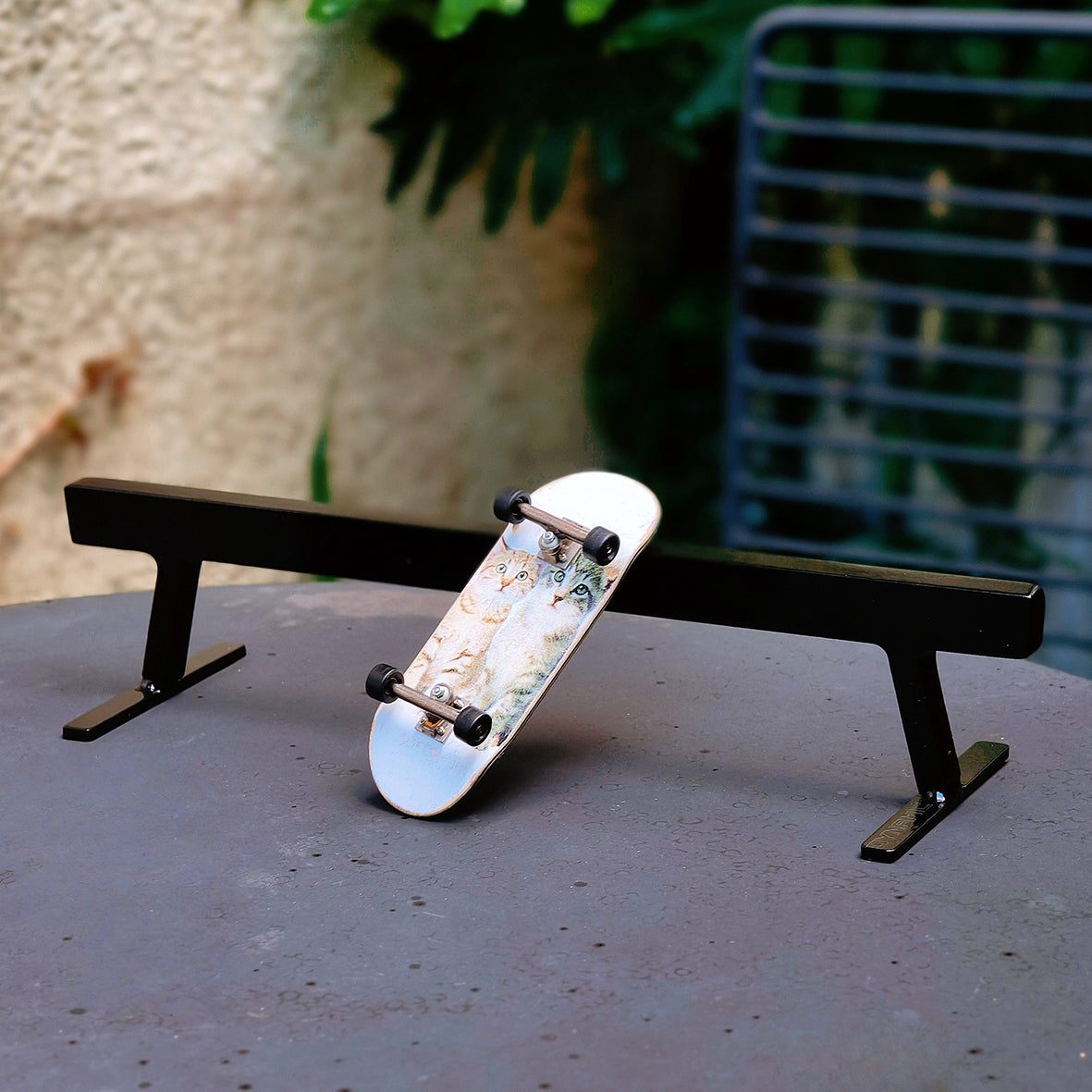 Dynamic Rail